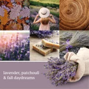 Yankee Candle 1627957 Car Jar Single, Dried Lavender & Oak