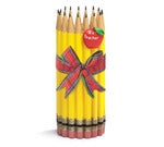 Burton & Burton Teacher PENCIL BUNDLE RESIN VASE