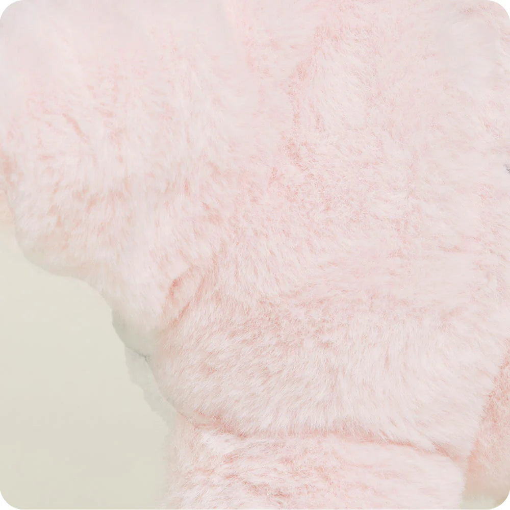 Intelex CP-STA-1 Starfish Warmies