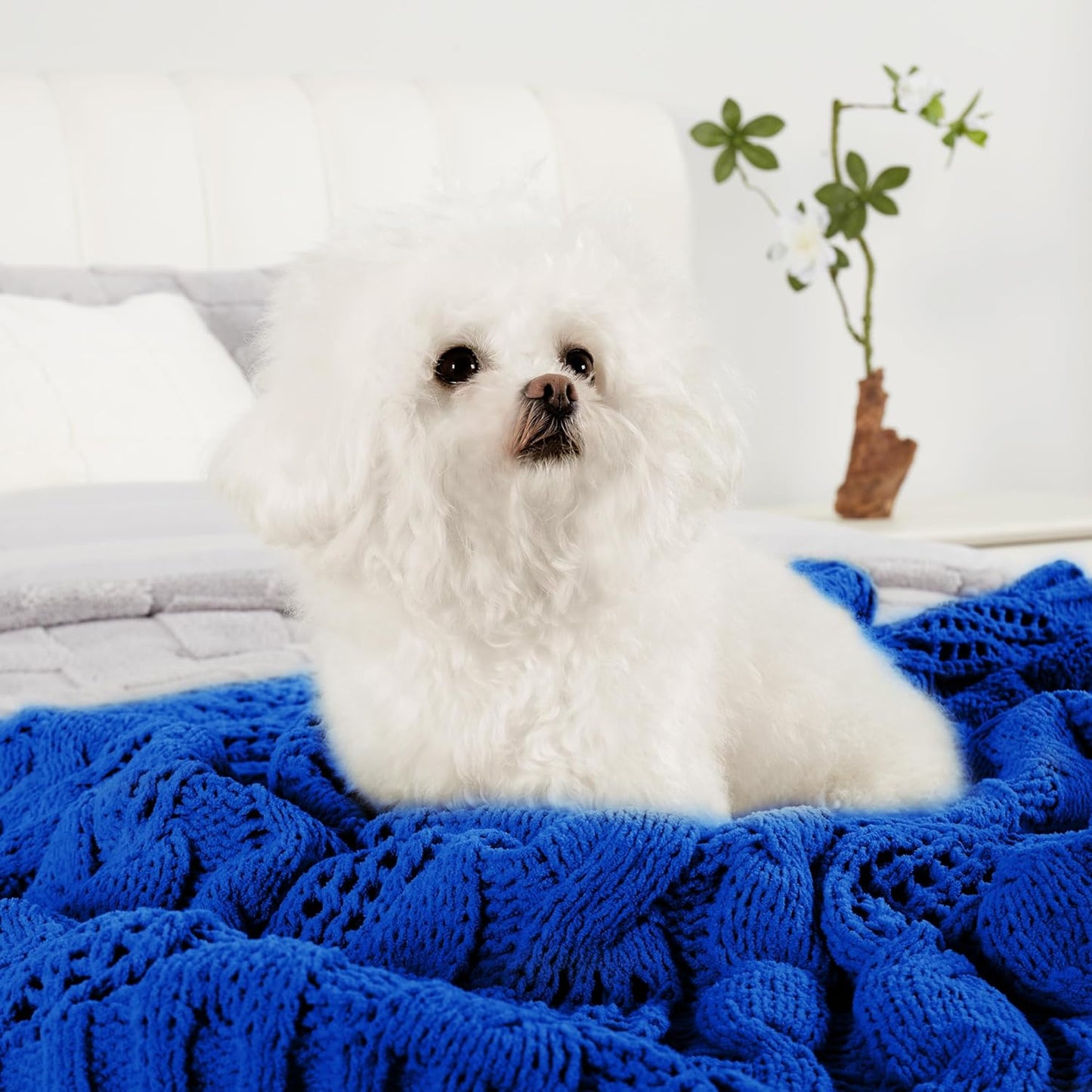Cable Knitted Throw Blanket for Couch, Chenille Chunky Knit Throw Blanket, Decorative Farmhouse Soft and Cozy Throw Blanket for Sofa Chair Bed, Blue,50 x 60