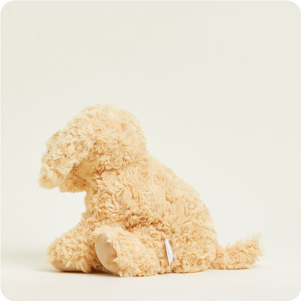 Intelex CP-DOG-BM Be Mine Golden Dog Warmies