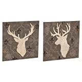 Evergreen 6W5101 Rustic Elegance 28x28 Outdoor Wooden Plank Wall Décor, 2 Assorted
