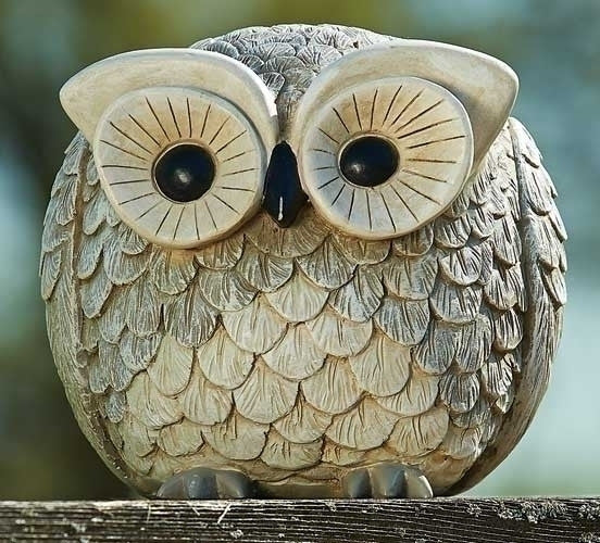Roman 75260 Pudgy Pal Garden, Owl, 6.75 inches tall