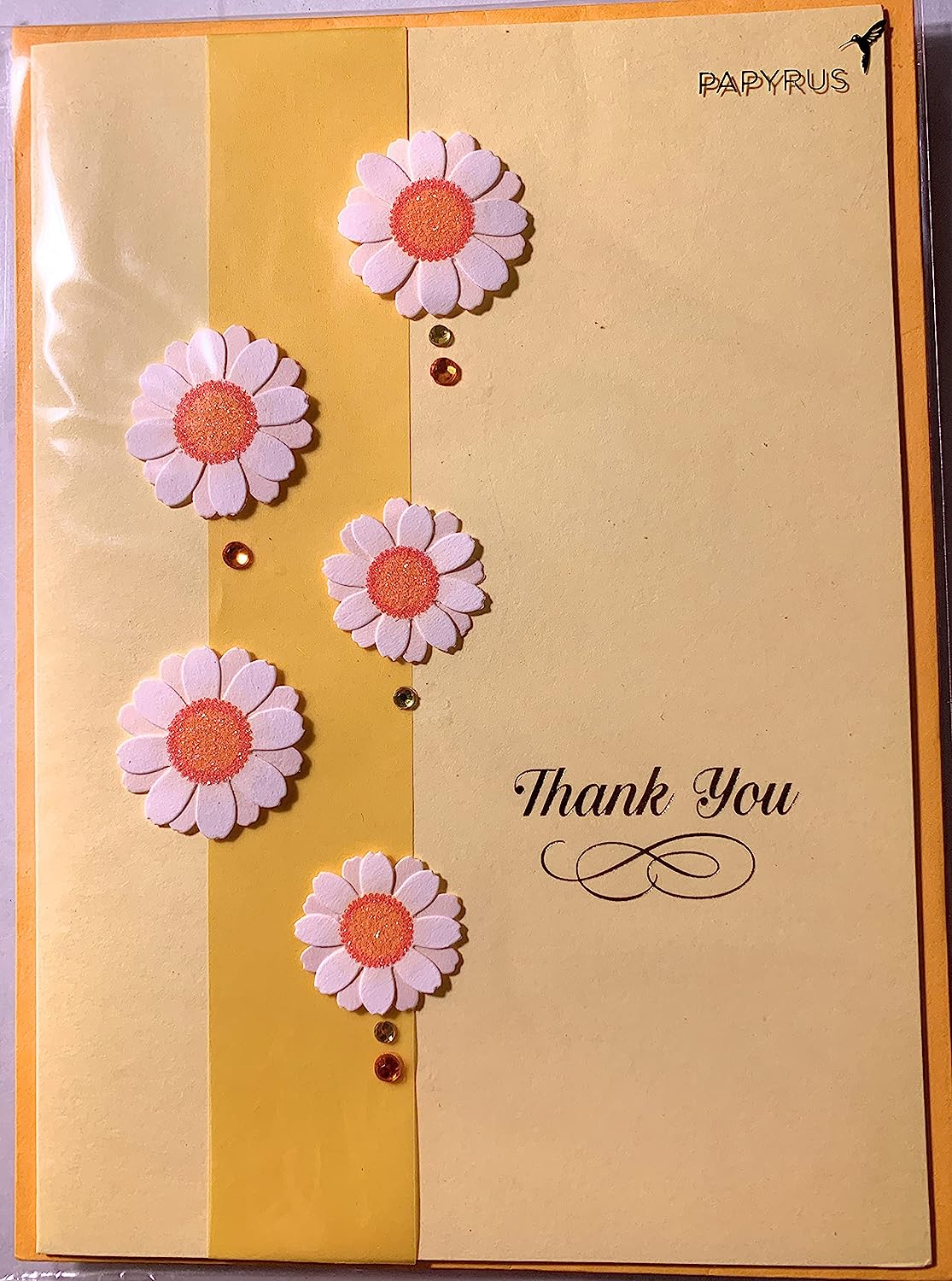 Papyrus Band of Daisies Thank You Card – Roby's Flowers & Gifts
