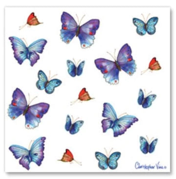 Papyrus Red & Blue Butterflies Blank Card