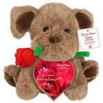 Russell Stovers 10000149 Assorted Chocolates Coco the Love Pup with 1.5 oz ( Boxes Vary)