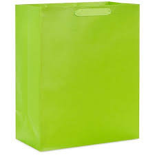 Hallmark EGB1991 Lime Green Gift Bag