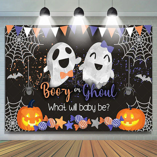 Baby Shower Boo-y or Ghoul Gender Reveal Fabric Poster Banner Backdrop