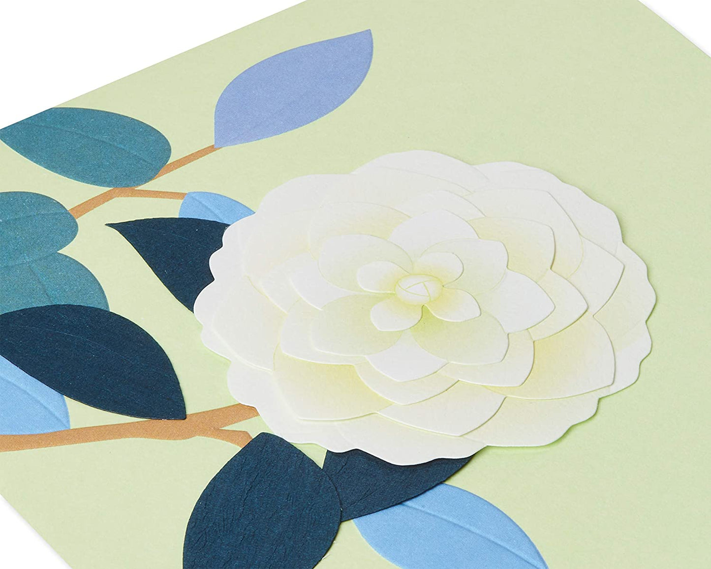 Papyrus White Rose Blank Card