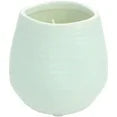 Pavilion  77111 Plain Dandelion Weed Some See a Wish Green Ceramic Soy Serenity Scented Candle
