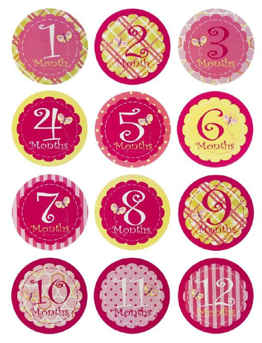 Evergreen Enterprises 7BS012  Baby First Year Belly Stickers - Girl