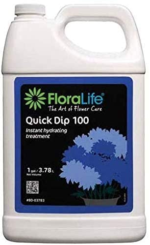 BURTON & BURTON FLORAL-QUICK DIP GAL