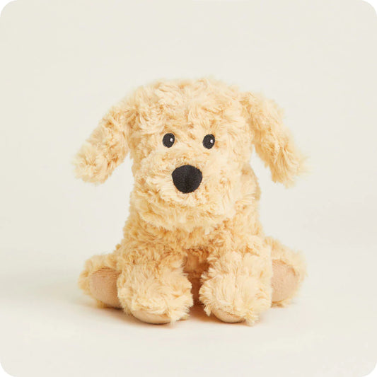 Intelex CPJ-DOG-3 Golden Dog Warmies Junior