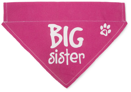 Pavilion 45614 Big Sister Pink Paw Print Large Dog Slip on the Collar Bandanna