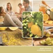 Yankee Candle 1633800 Revitalizing Ginger & Lemon Medium Square Candle