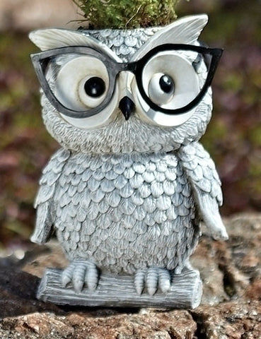 Woodland Critters with Eye Glasses Novelty Planters (Owl)