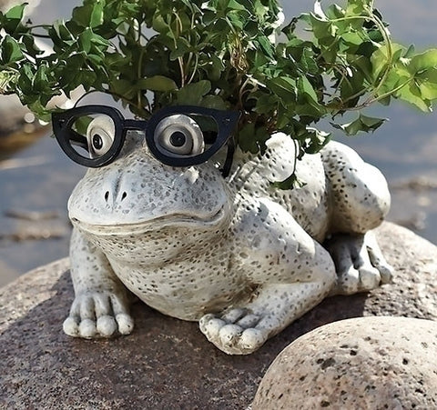 Roman 10090 Exclusive White Frog Wearing Silly Black Spectacles Planter, 6-Inch, Made of Dolomite